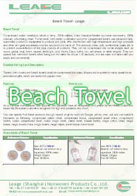 Beach Towel